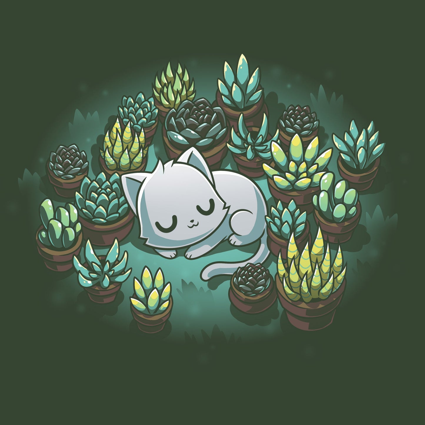 Succulent Garden