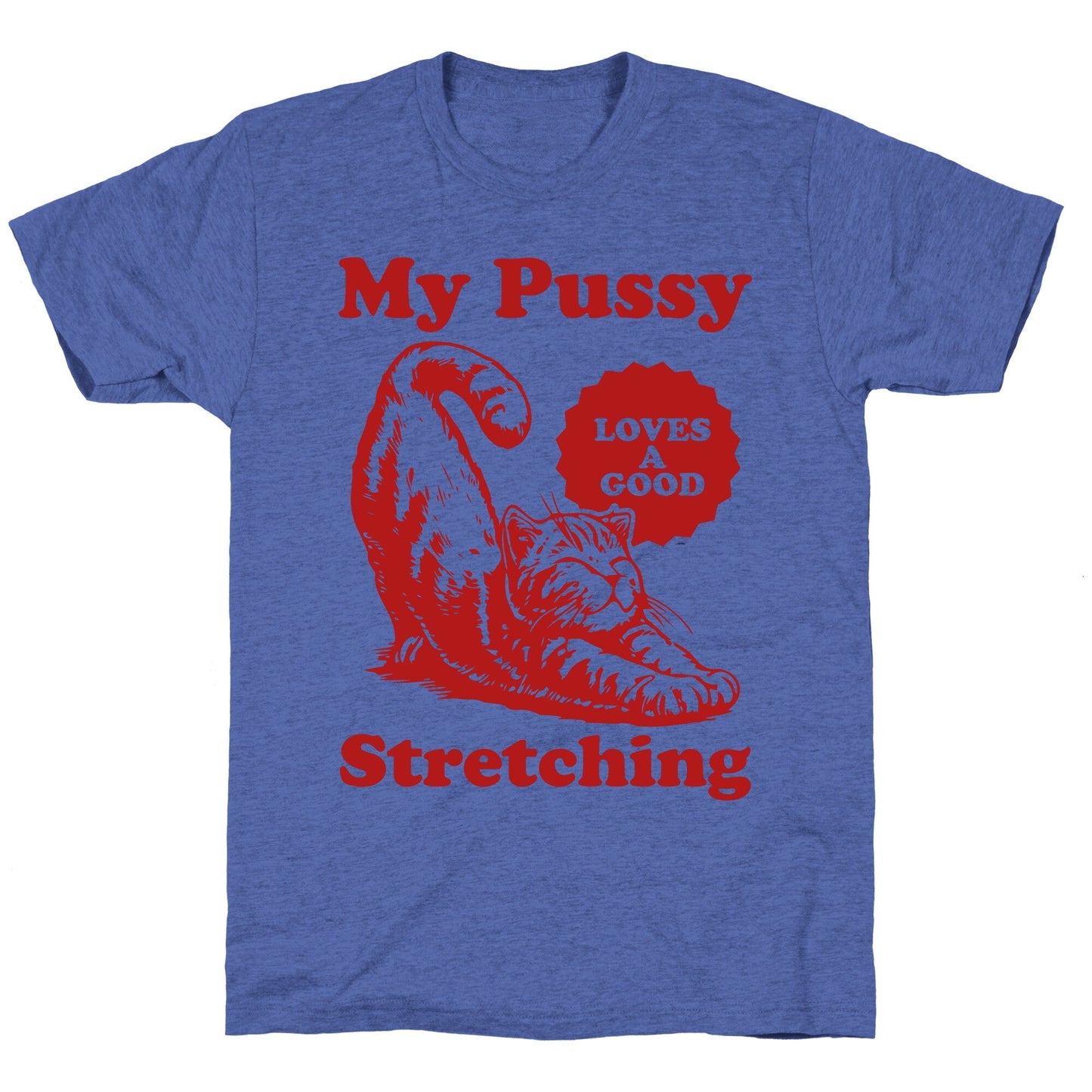 My Pussy Loves A Good Stretching Unisex Triblend Tee