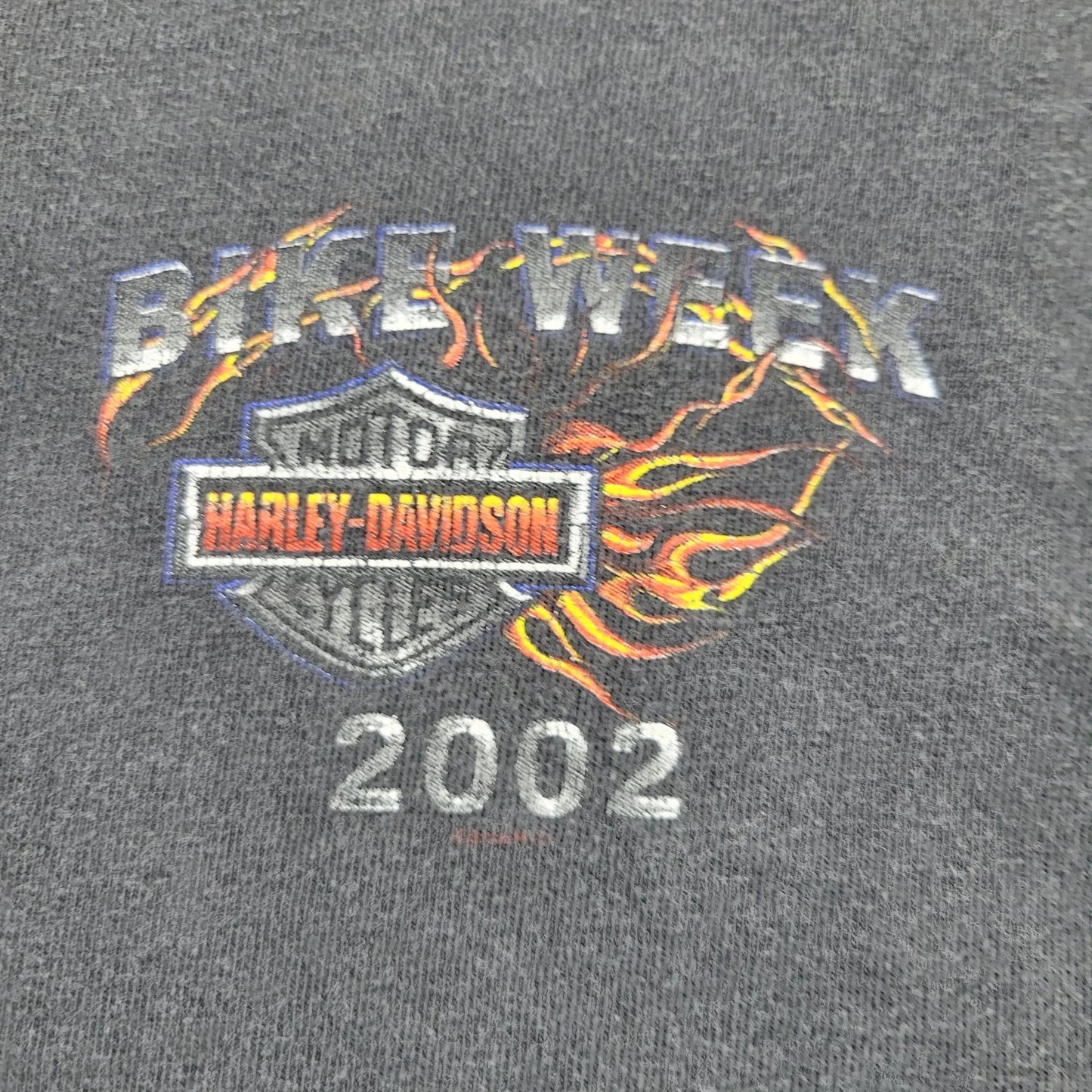 Harley-Davidson Bike Week 2002 Shirt Mens 2XL XXL Flames VTG Y2K Black Graphic