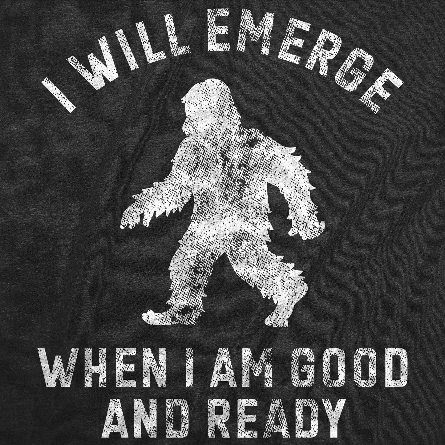 I Will Emerge When Im Good And Ready Men's T Shirt