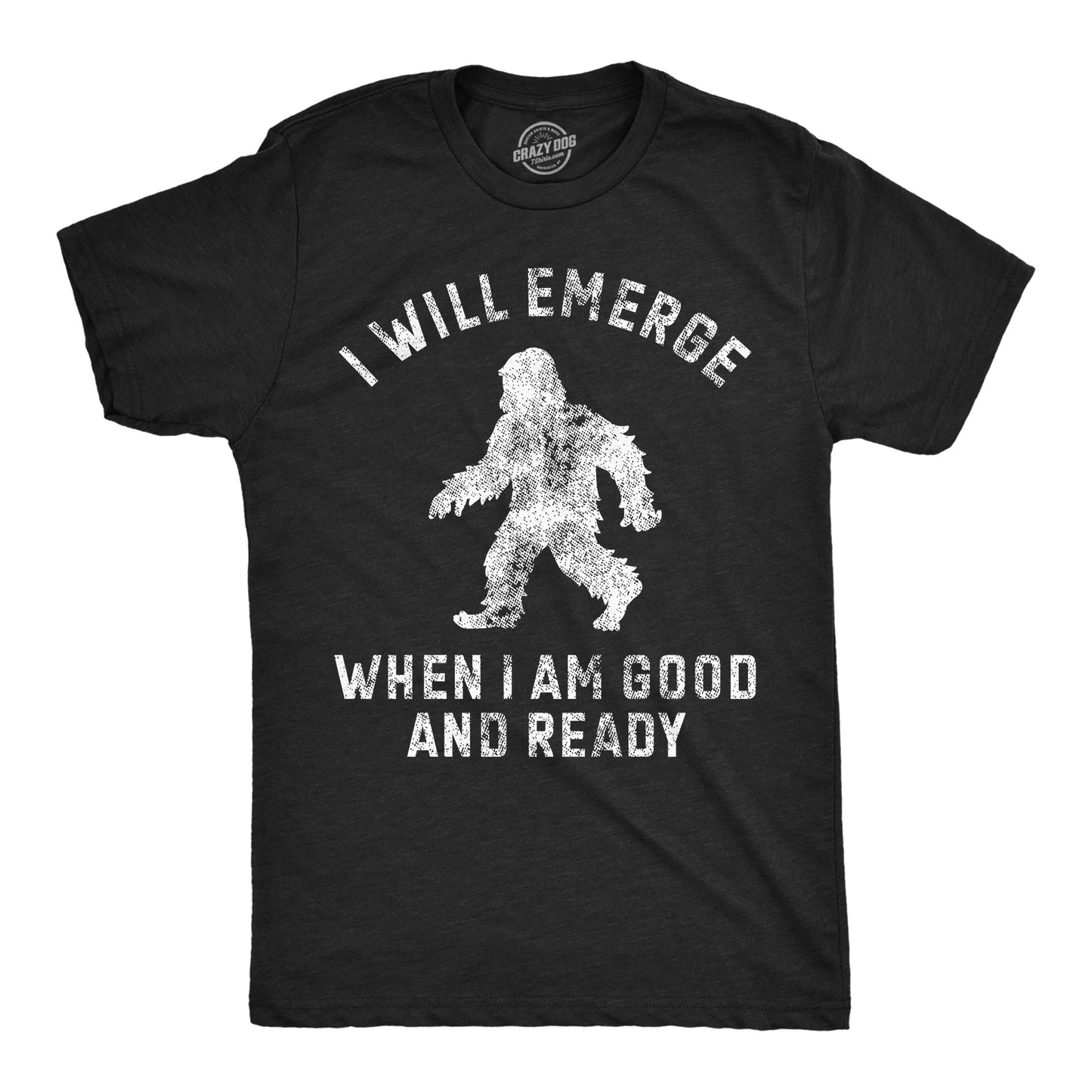 I Will Emerge When Im Good And Ready Men's T Shirt
