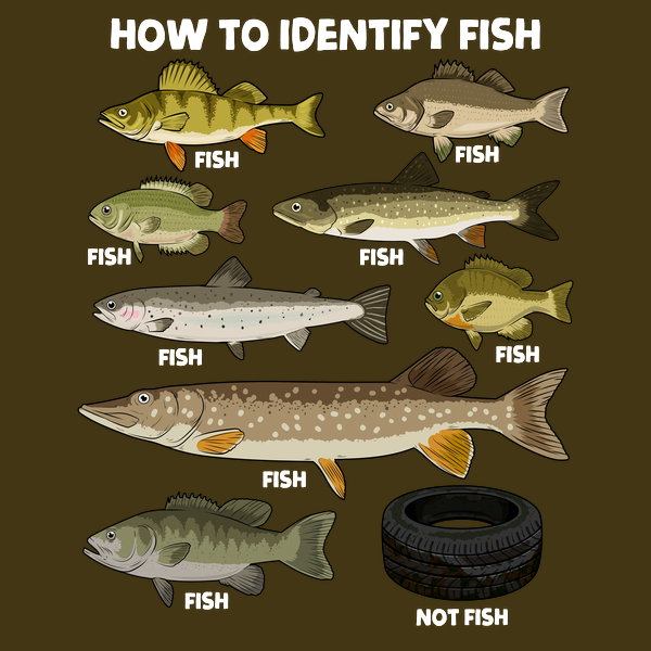 How To Indetify Fish