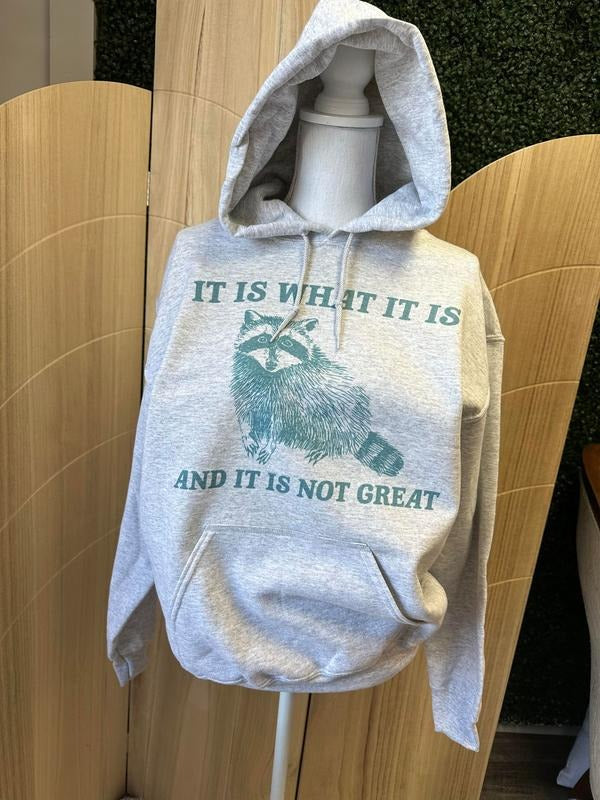 It Is What It Is And It Is Not Great - HOODIE VERSION - Trash Panda Sweatshirt