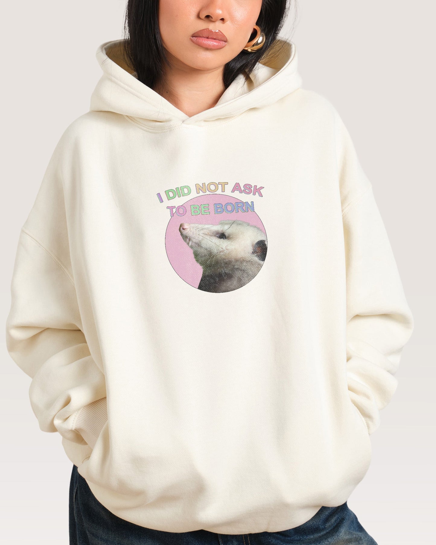 I Did Not Ask Hoodie