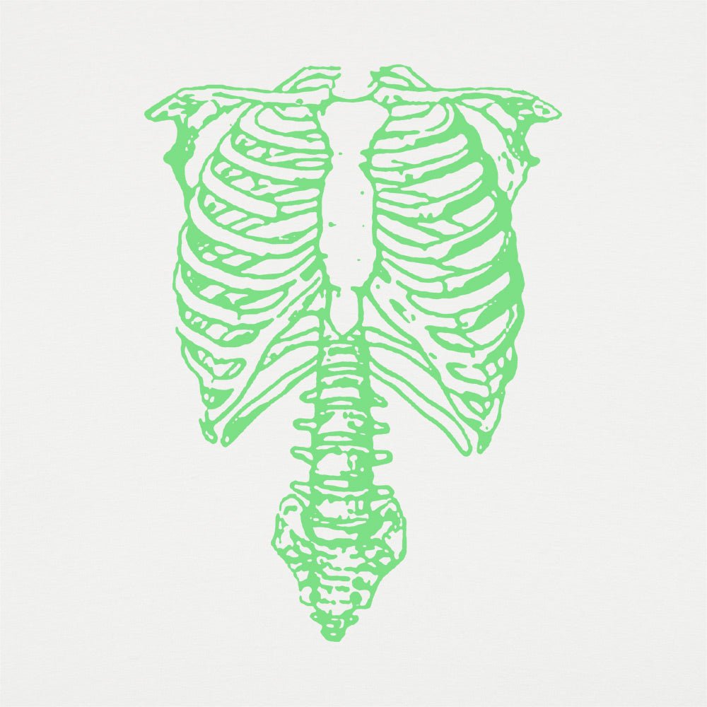 Tap The Spinal Skeleton