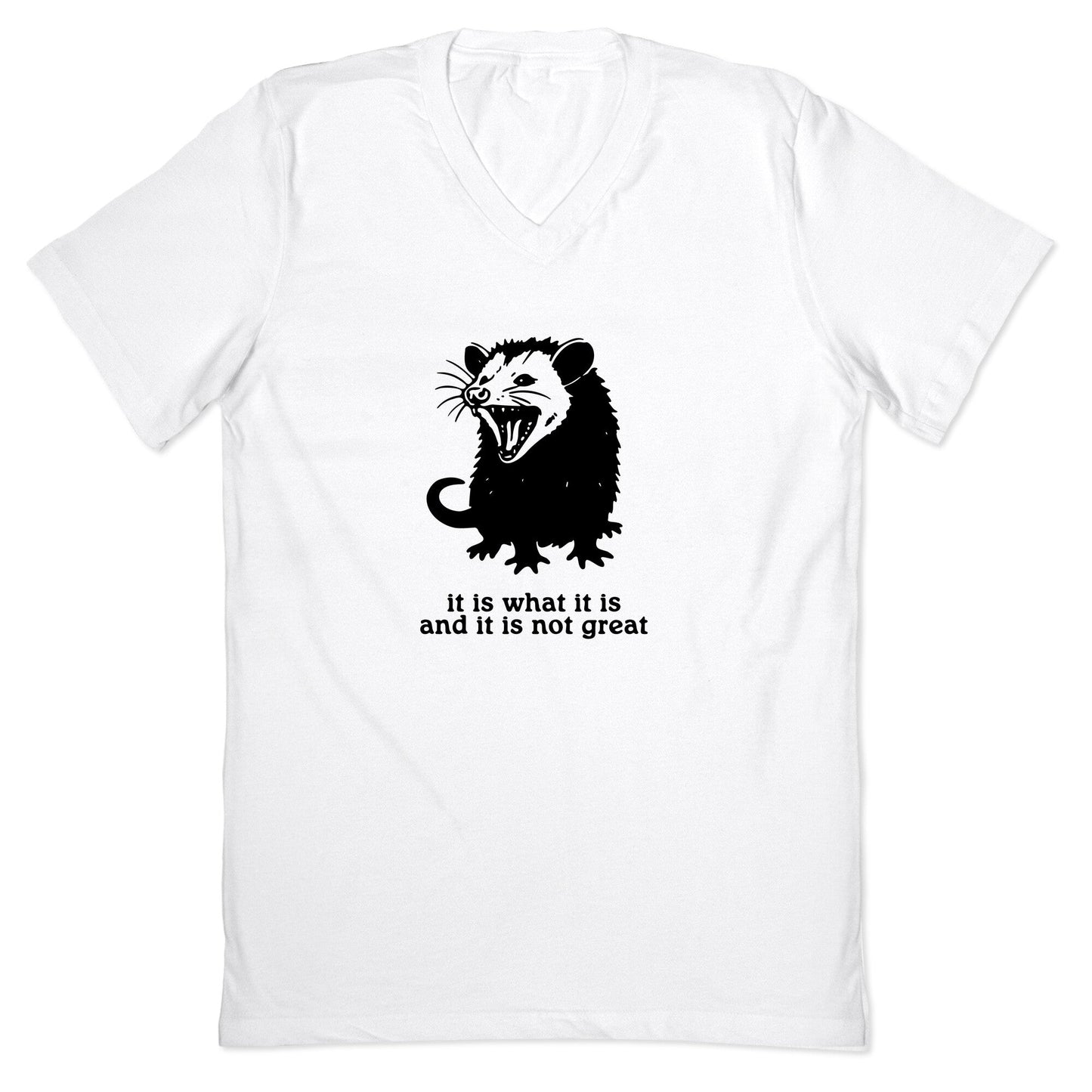 It Is What It Is V-Neck