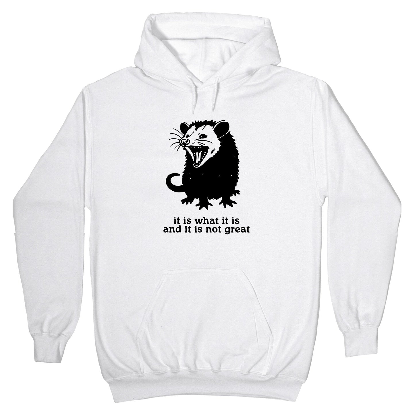 It Is What It Is Hoodie