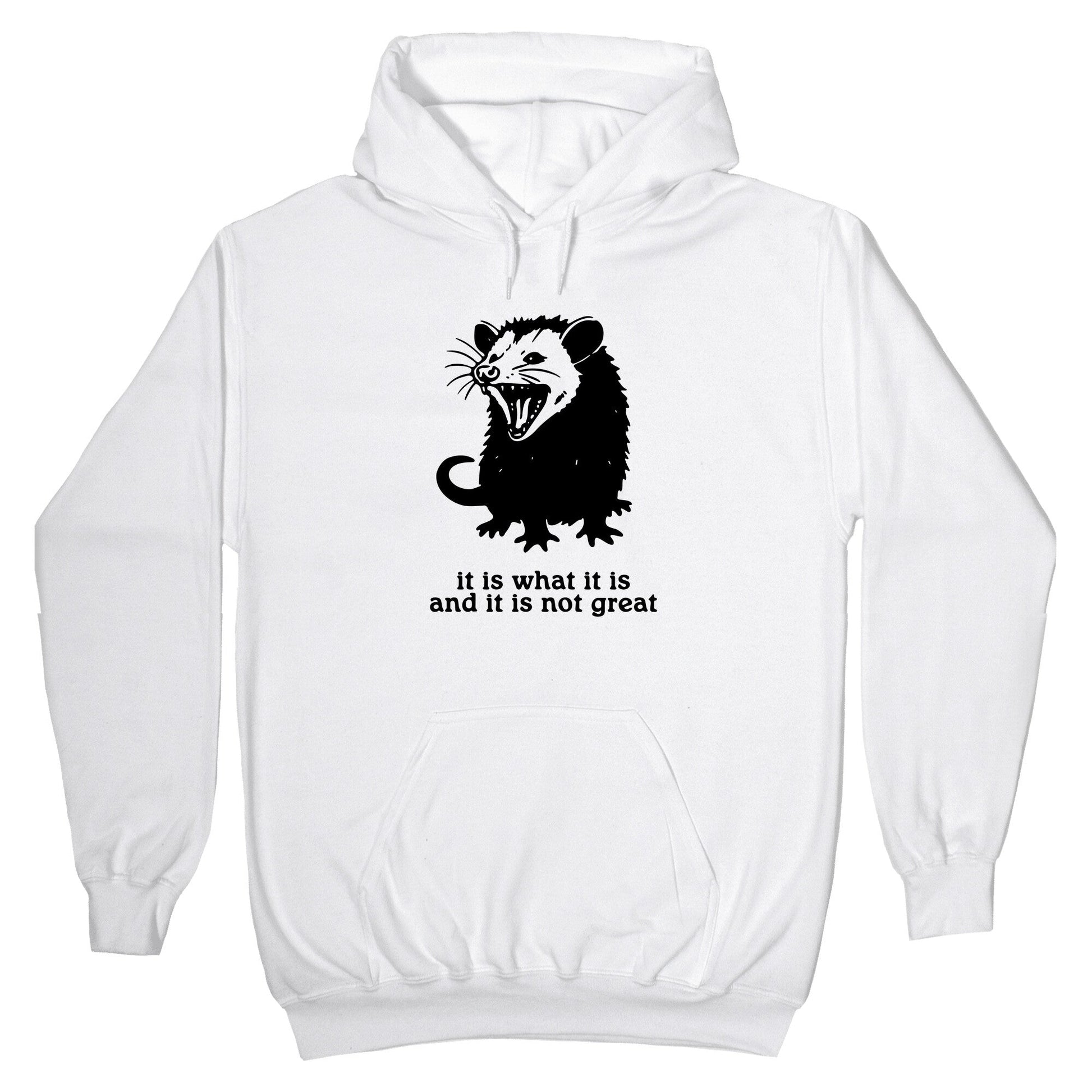 It Is What It Is Hoodie
