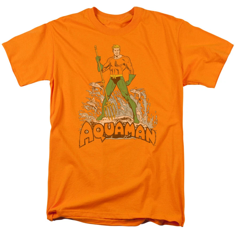 Aquaman Distressed Aquaman DC Comics Licensed Adult T-Shirt