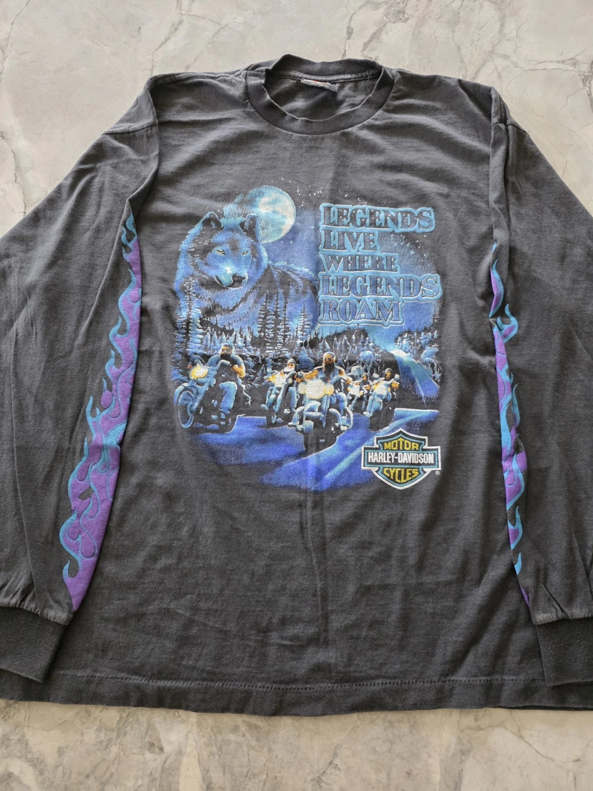 Vintage REPRINT Harley Davidson Legends Live Where Legends Roam Flame T Shirt XL