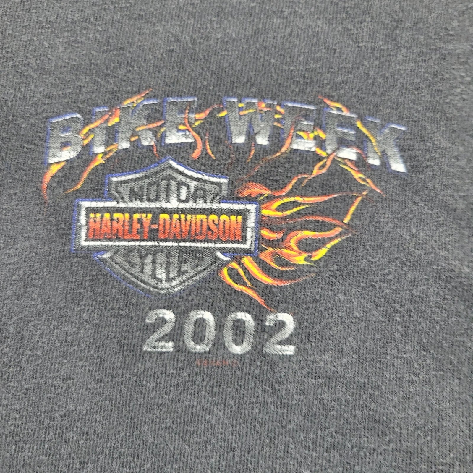 Harley-Davidson Bike Week 2002 Shirt Mens 2XL XXL Flames VTG Y2K Black Graphic