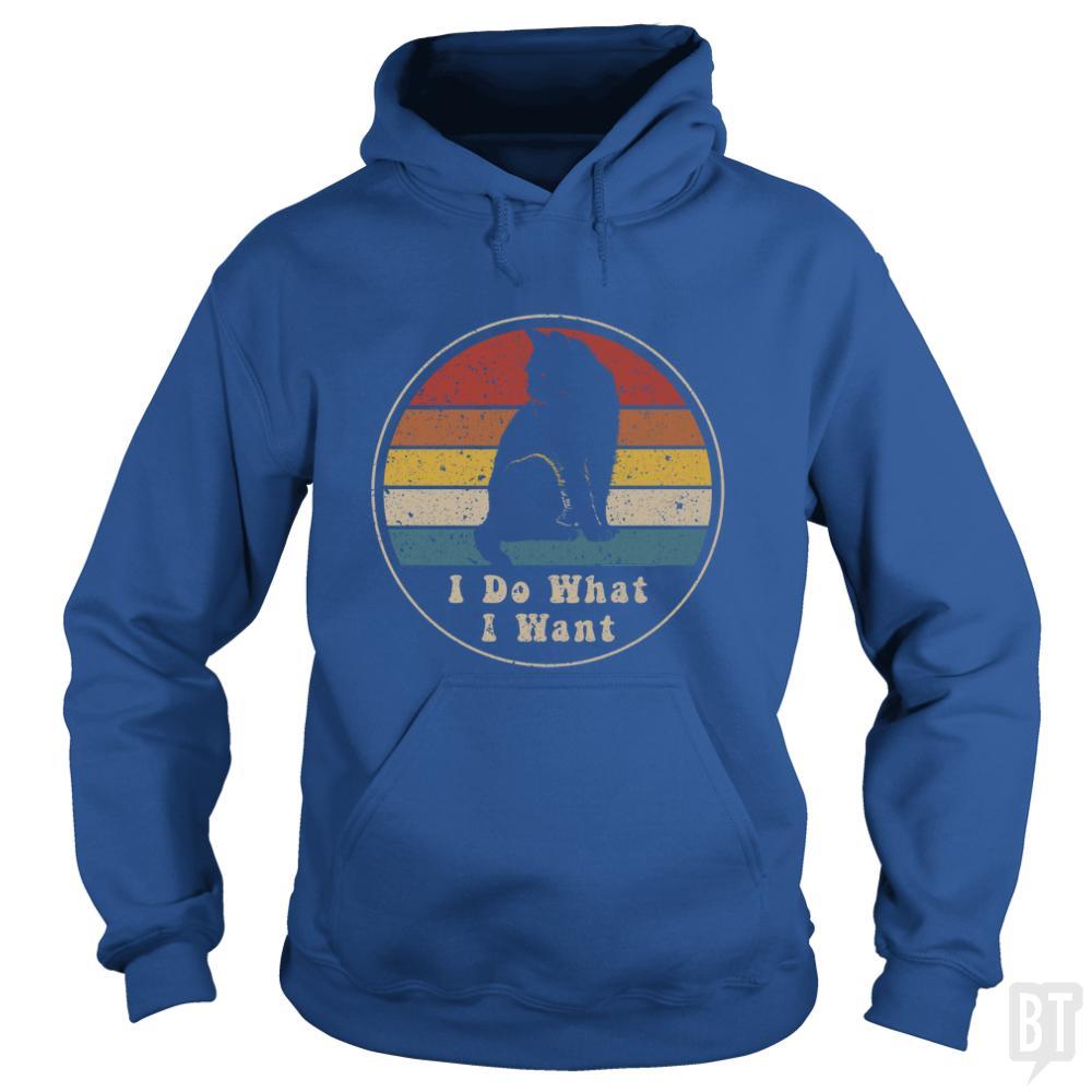 I Do What I Want Hoodie